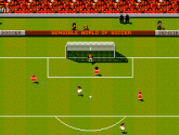 Sensible World of Soccer - MS-DOS