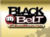 Black Belt Challenge | RetroGames.Fun