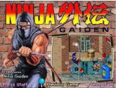 Ninja Gaiden | RetroGames.Fun