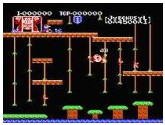 Donkey Kong Jr. - Nintendo NES
