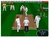 Brian Lara Cricket 96 | RetroGames.Fun