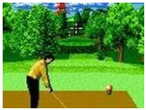Ernie Els Golf | RetroGames.Fun