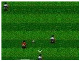 Ultimate Soccer - Sega Game Gear