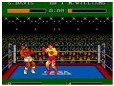 James 'Buster' Douglas Knockout Boxing | RetroGames.Fun