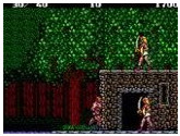 Danan - The Jungle Fighter - Sega Master System