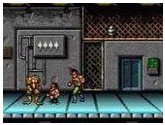 Battletoads and Double Dragon - The Ultimate Team | RetroGames.Fun