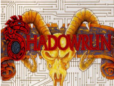 Shadowrun | RetroGames.Fun
