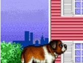 Beethoven's 2nd - The Ultimate Canine Caper! | RetroGames.Fun