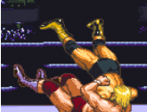 Hammerlock Wrestling - Nintendo Super NES